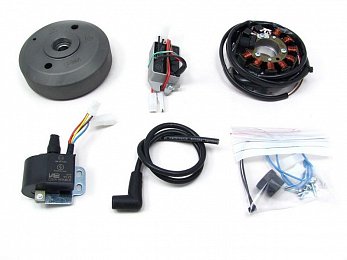 Fantic 250 Raider (Typ 259)